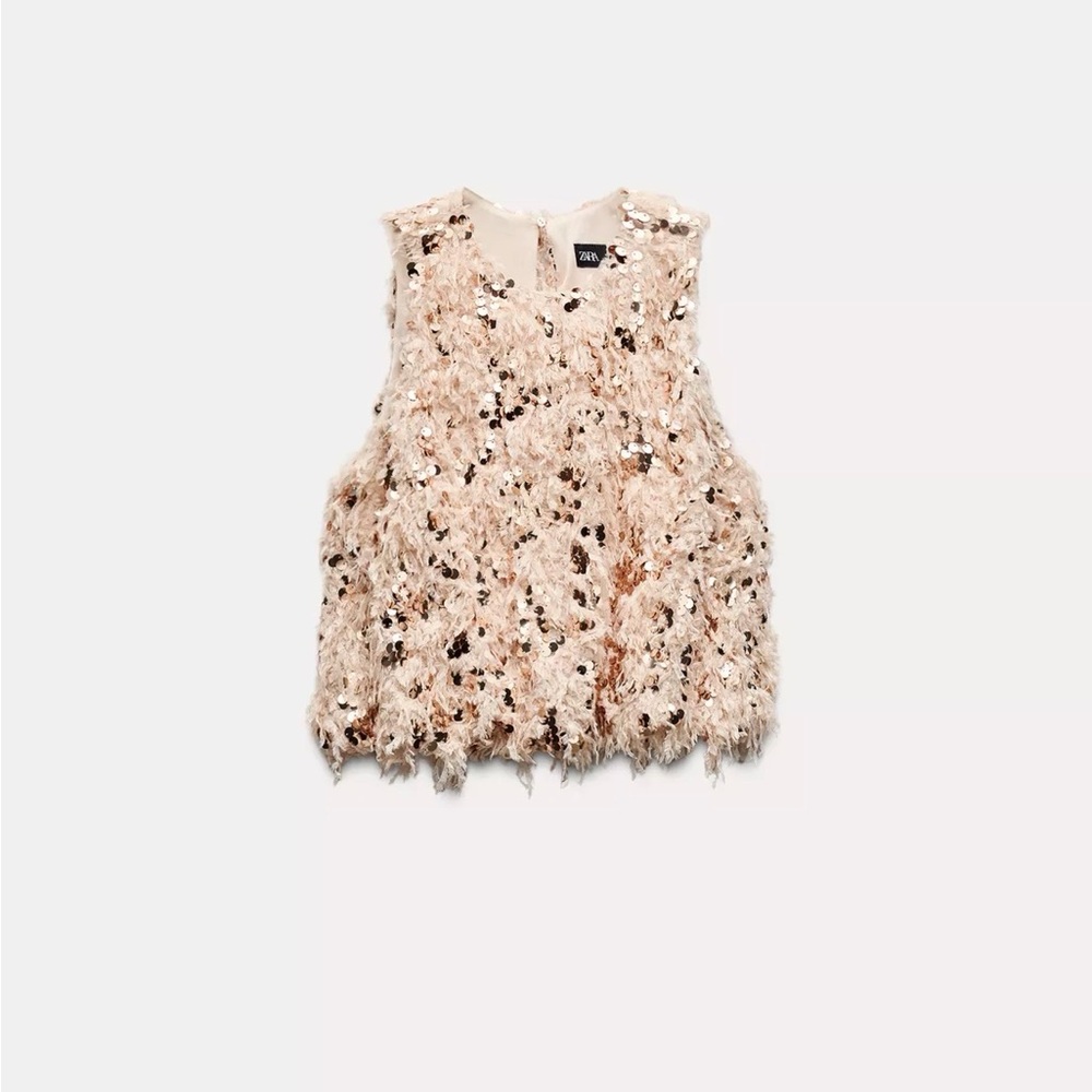 Zara Beige Sequin Feather Top